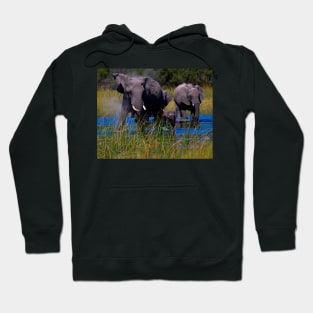 Splashing through the Water Hoodie